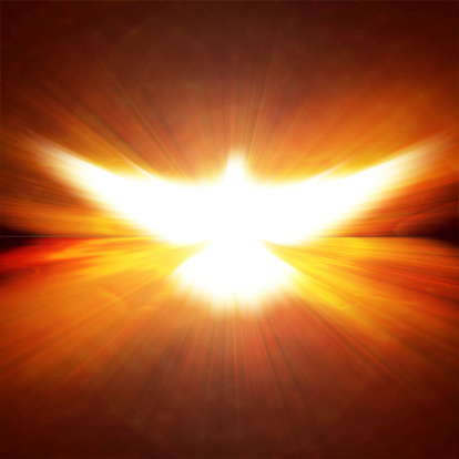 shining dove with rays on a dark golden background