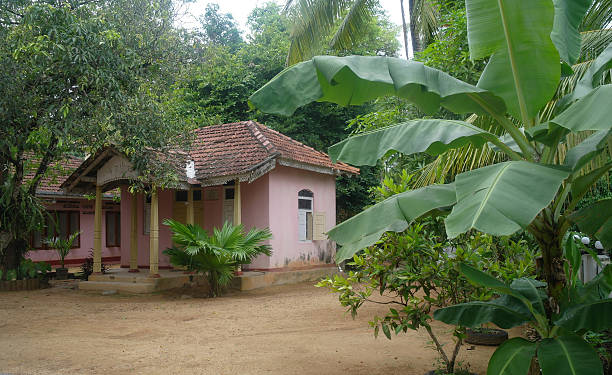 istock house in the tropics,Sri Lanka 480415624