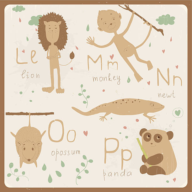 ilustraciones, imágenes clip art, dibujos animados e iconos de stock de linda zoológico de vector alfabeto - monkey sketch drawing showing