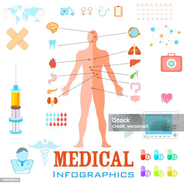 Healthcare And Medical Infographics Stock Illustration - Download Image Now - Illustration, Anatomy, Biology