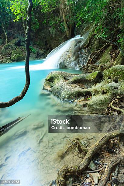 Catarata De Floresta Profunda Na Tailândia - Fotografias de stock e mais imagens de Cascata - Cascata, Corrente - Água corrente, Crescimento