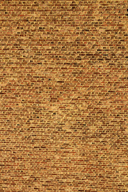 brick wall stock photo