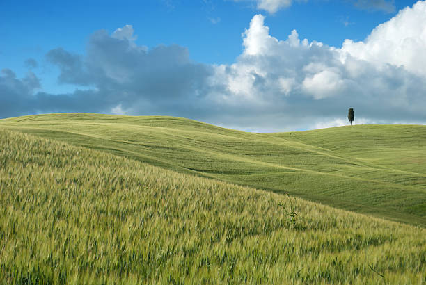 land of toskania - siena province zdjęcia i obrazy z banku zdjęć