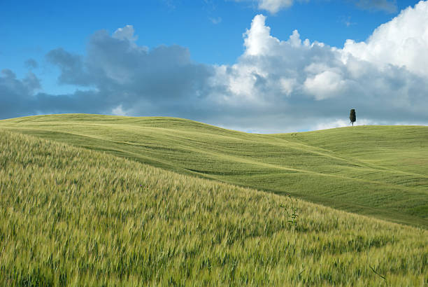 Terra da Toscana - fotografia de stock