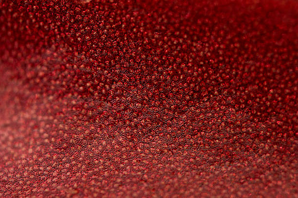 istock Abstract red background, plant leaf, Macro. Extreme closeup 480425363