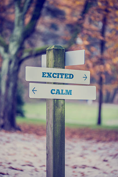 istock Signpost with arrows pointing in two opposite directions 480426294