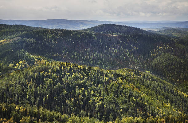 istock Stolby Nature Sanctuary. Russia 480426548