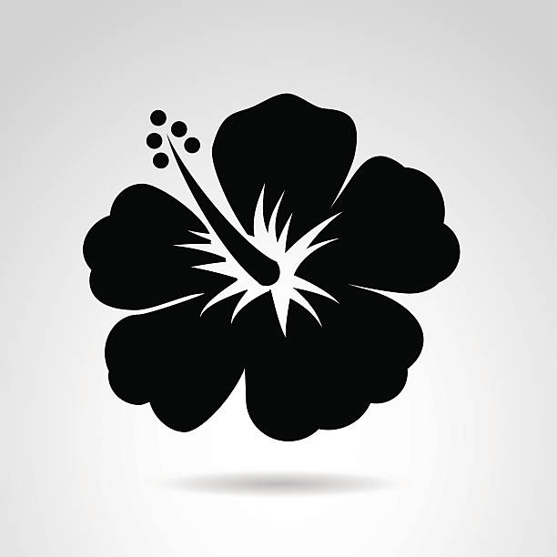 Hibiscus icon isolated on white background. Vector art. single flower flower black blossom stock illustrations