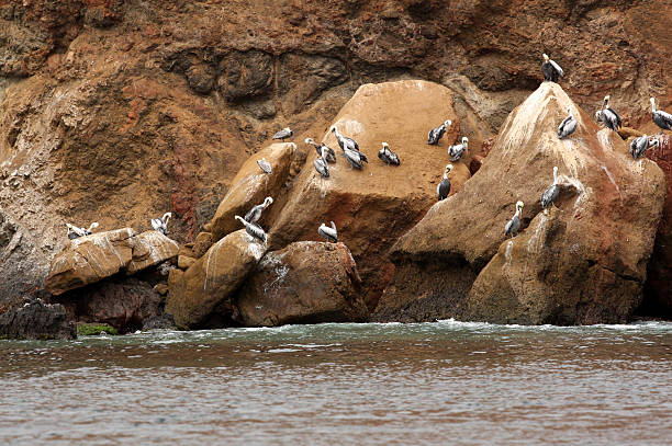 Candelabrum (El Candelabrio), ancient drow on the sand of the Ballestas Islands in Peru