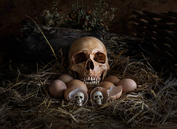 istock Skull and eggs in the straw nest, 480440576