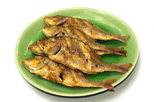 Mhora Fish 110+ Mojarra Fish Stock Photos, Pictures & Royalty-Free Images - iStock