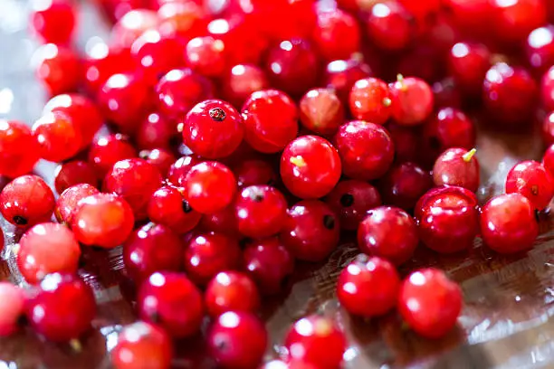 Close up of freshly picked redcurrants