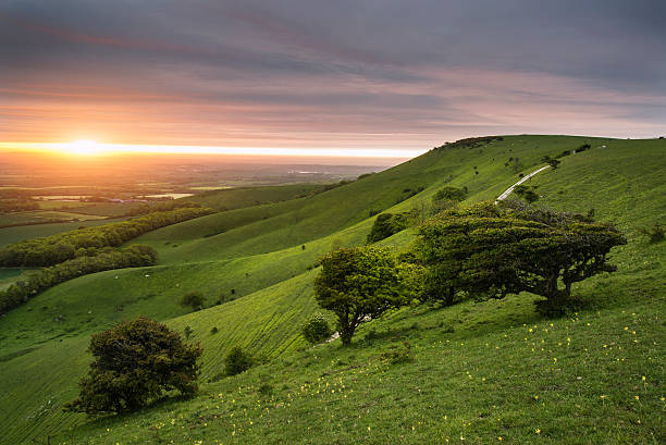 istock Morning over rolling English countryside landscape in Spring 480447038