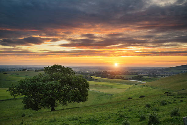 istock Beautiful Summer sunset landscape Steyning Bowl on South Downs 480447084