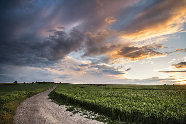 istock Beautiful Summer sunset landscape Steyning Bowl on South Downs 480450490