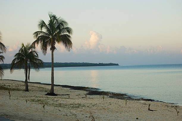 Beach of Maria la gorda, in cuba Beach of Maria la gorda, in cuba maria la gorda stock pictures, royalty-free photos & images