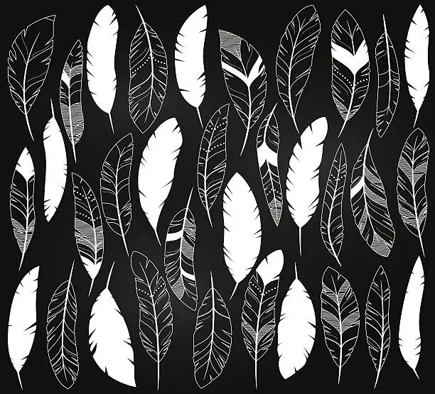 Vector illustration of Vector Set of Chalkboard Feathers and Feather Silhouettes