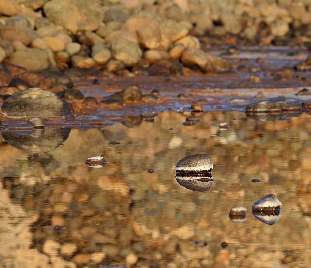 istock Stones in puddle of seawater 480453022