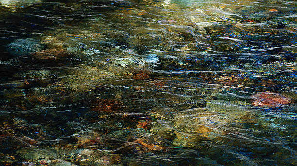 istock Underwater Multicolored rock and pebbles in clear pond 480453143