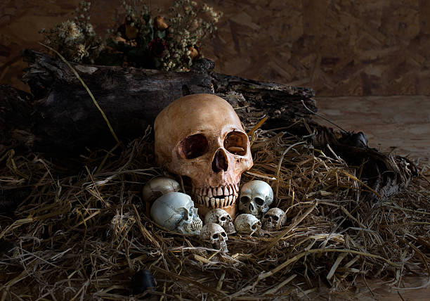 istock Skull and her child in the straw nest, 480455838