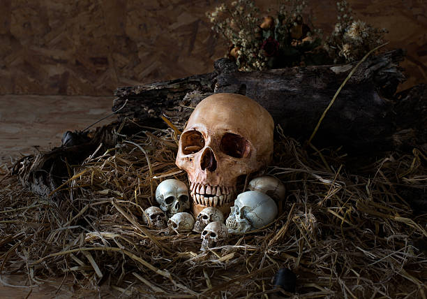 istock Skull and her child in the straw nest, 480455840