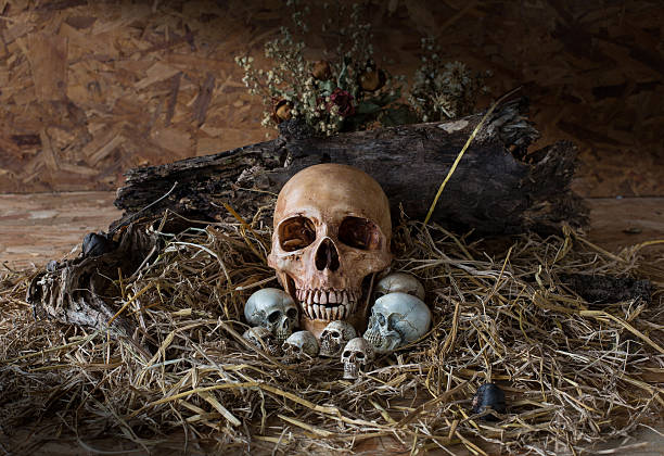 istock Skull and her child in the straw nest, 480455842