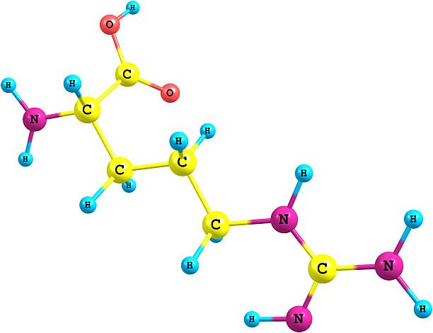 arginina struttura molecolare su sfondo bianco - arginine foto e immagini stock