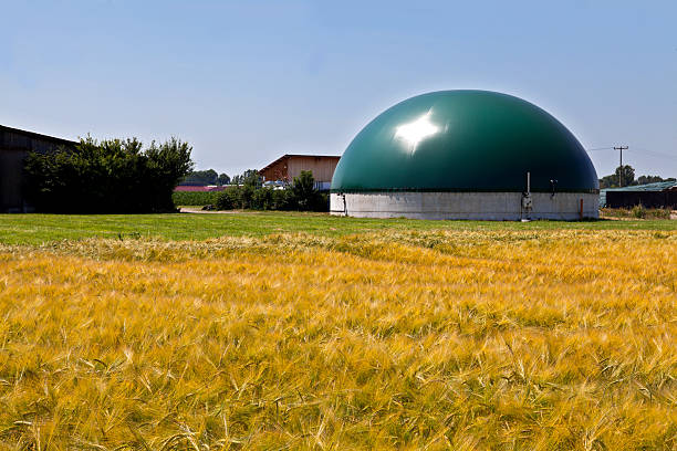 bio gazu w polu roślin kukurydzy - energiewende zdjęcia i obrazy z banku zdjęć
