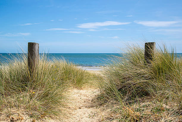 istock Lovely sand dunes and beach landscape on sunny Summer day 480460816
