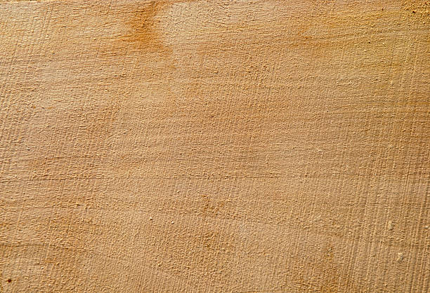 istock Texture of freshly sawn wood, background, closeup 480461196