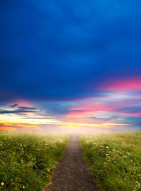 istock Evening road in steppe to sunset 480461782