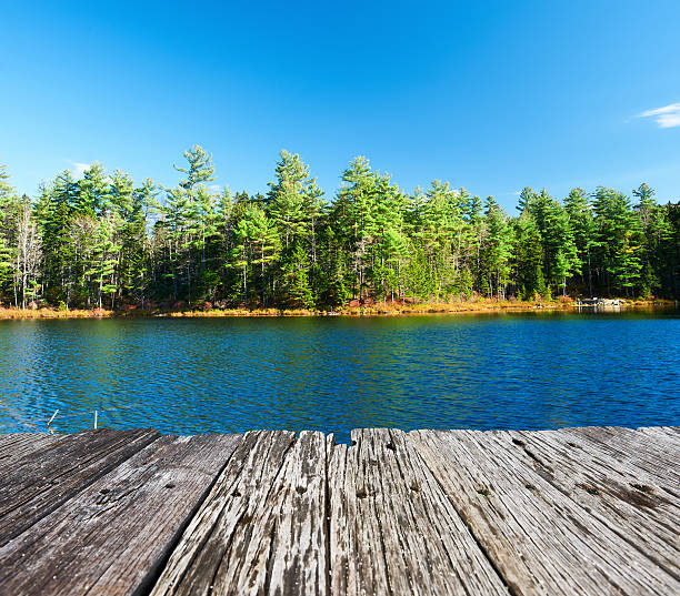 Pond in White Mountain National Forest, New Hampshire, USA.