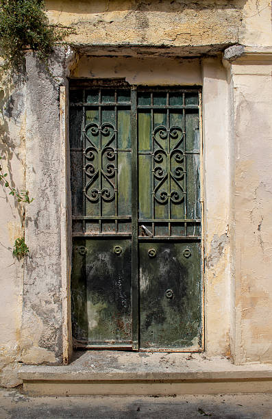 istock Green Old Door with a Grid 480463160