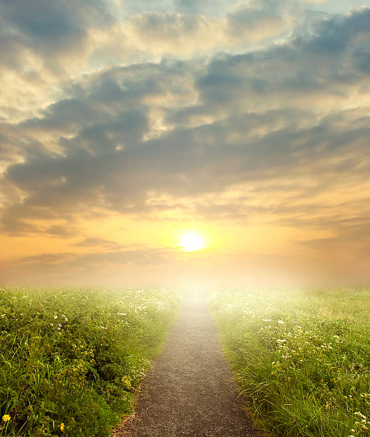 istock evening road in steppe to sunset 480463426