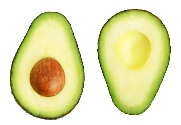 Two slices of avocado isolated on the white background. One slice with core. Design element for product label.