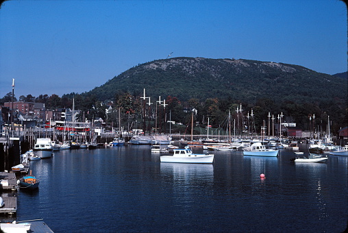 View Of The Harbor With Mount Battie Background.