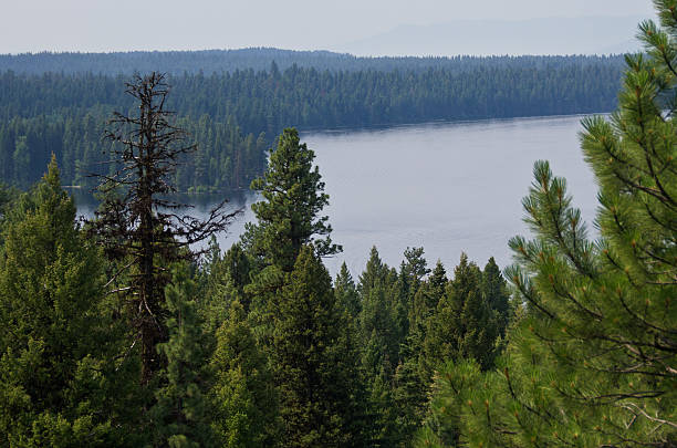 istock Mountain Lake Hidden Deep in the Pine Forest 480472390