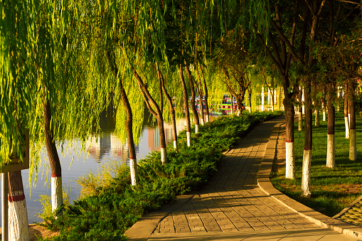 Morning time at Zhongshan Park of Yin Chuan, Ningxia province, China.