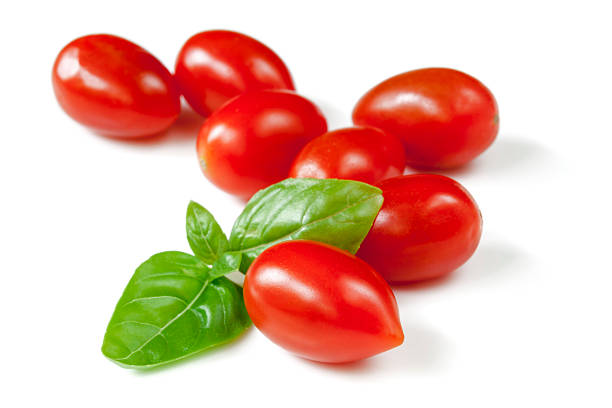 Baby plum tomatoes with basil, isolated on white.