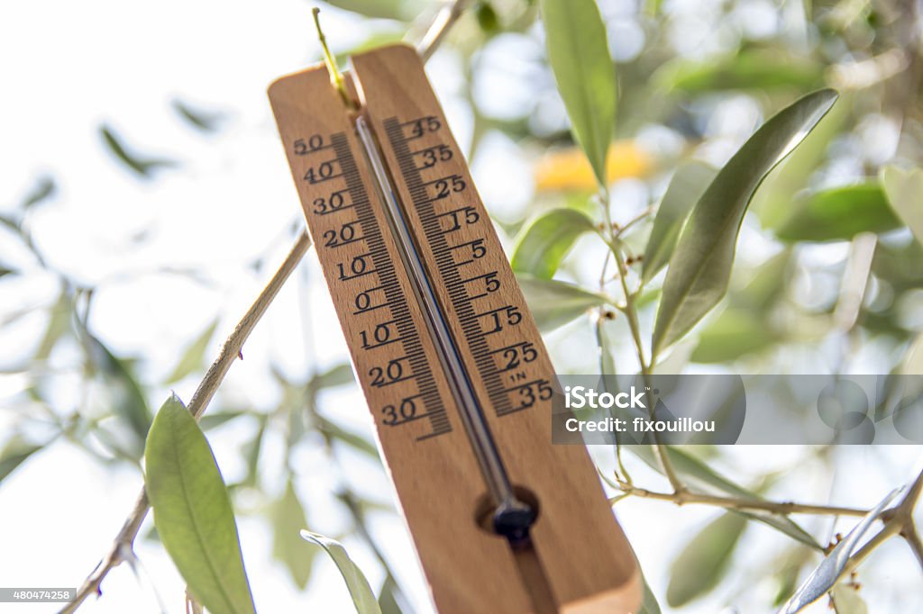 Wood Thermometer This is a thermometer in the shade in an olive tree type 2015 Stock Photo