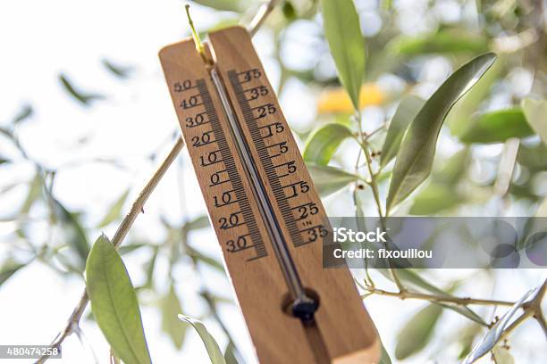 Wood Thermometer Stock Photo - Download Image Now - 2015, Coveralls, Heat - Temperature