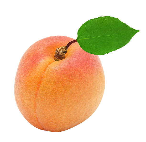 istock One fresh apricots and leaves 480476726