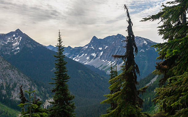 istock North Cascades National Park - August 2011 480478823