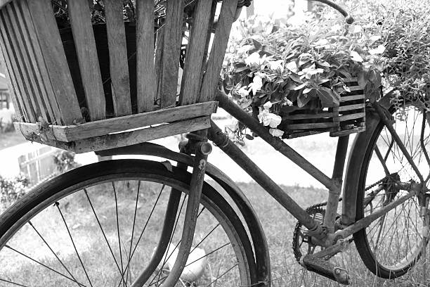 istock old rusty black bicycle with flower pot in wooden basket 480480162