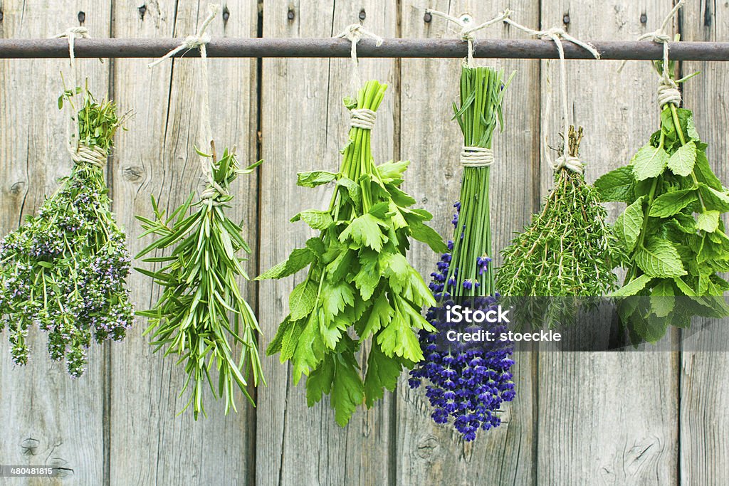 fresh herbs Various fresh herbs hanging to dry outside Bundle Stock Photo