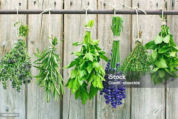 Fresh Herbs Stock Photo - Download Image Now - Bundle, Food and Drink, Freshness