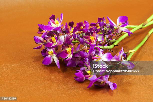 Foto de Campo De Flores De Orquídea Em Fundo Marrom e mais fotos de stock de Cabeça da flor - Cabeça da flor, Colorido, Data Especial