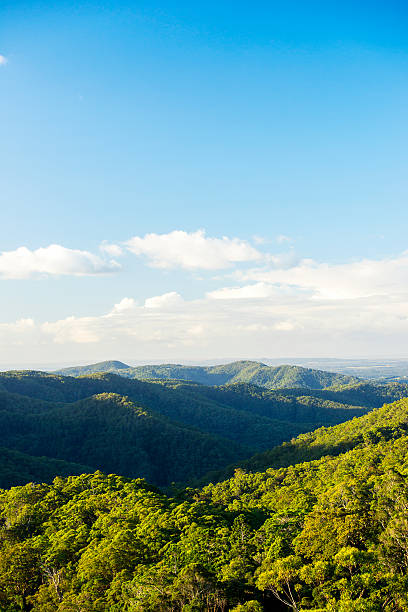 istock Mountain view of the Gold Coast Hinterlands 480483880