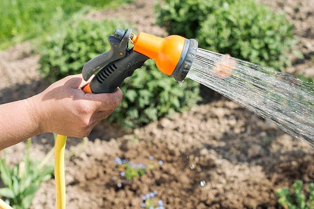 istock Watering water from a hose of various plants 480488024
