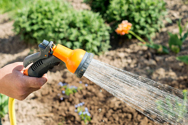 istock Watering water from a hose of various plants 480488026